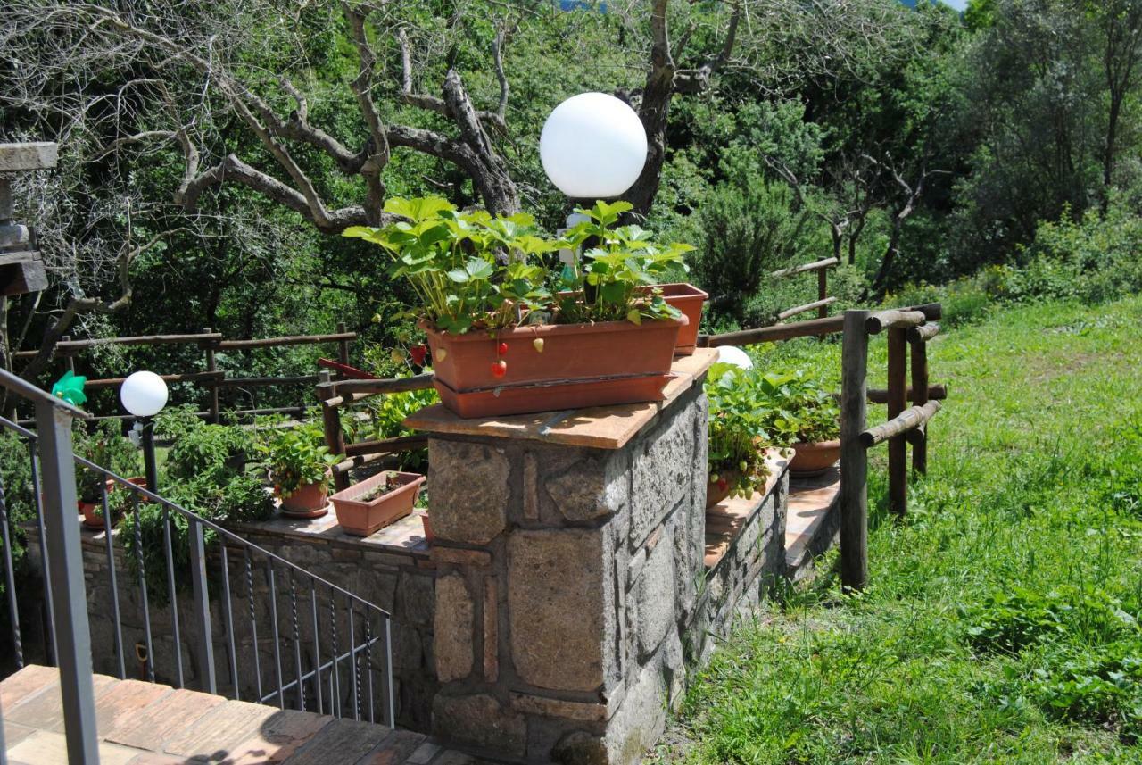 Villa Farfalla Bianca Vitorchiano Εξωτερικό φωτογραφία