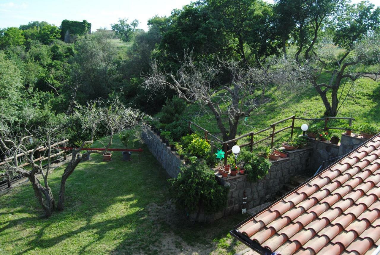 Villa Farfalla Bianca Vitorchiano Εξωτερικό φωτογραφία