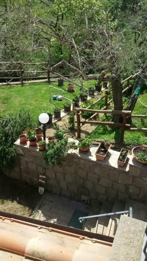 Villa Farfalla Bianca Vitorchiano Εξωτερικό φωτογραφία